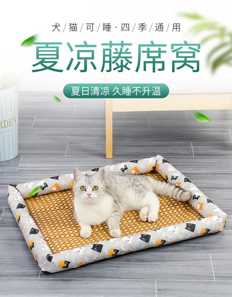 天元宠物上涨52%报2548元股(图1)