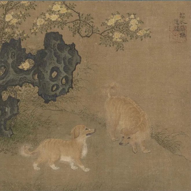 古代宠物天团超乎想象(图2)