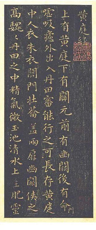 古代宠物天团超乎想象(图6)