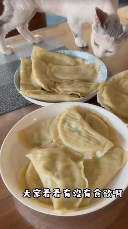 53岁刘钧晒独居生活住别墅和馅包饺子任由猫上桌吃饭(图7)