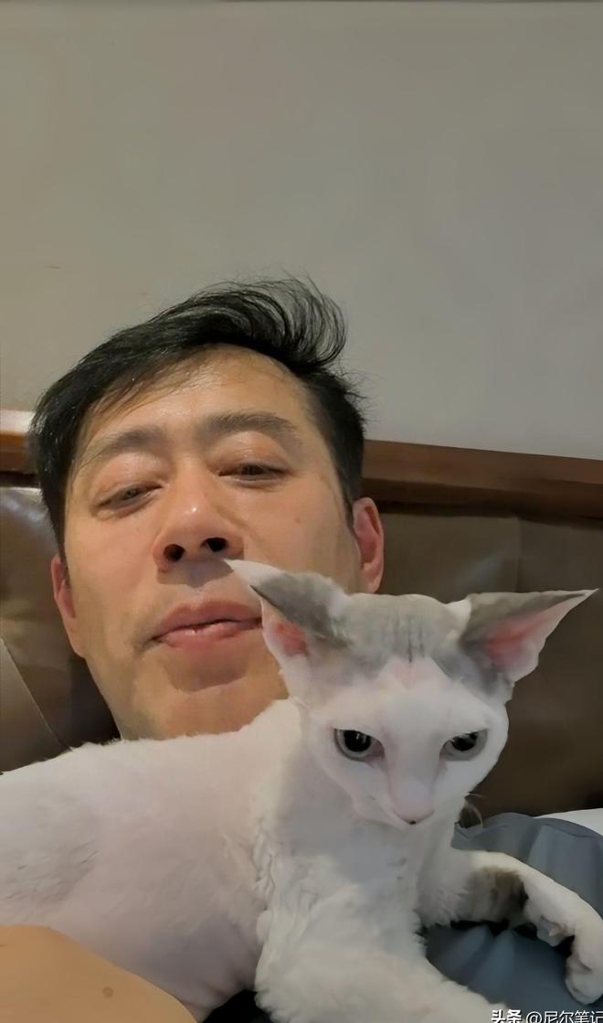 53岁刘钧晒独居生活住别墅和馅包饺子任由猫上桌吃饭(图11)
