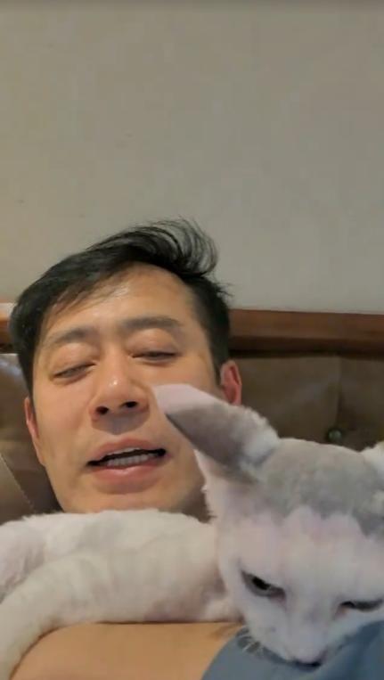 53岁刘钧晒独居生活住别墅和馅包饺子任由猫上桌吃饭(图12)