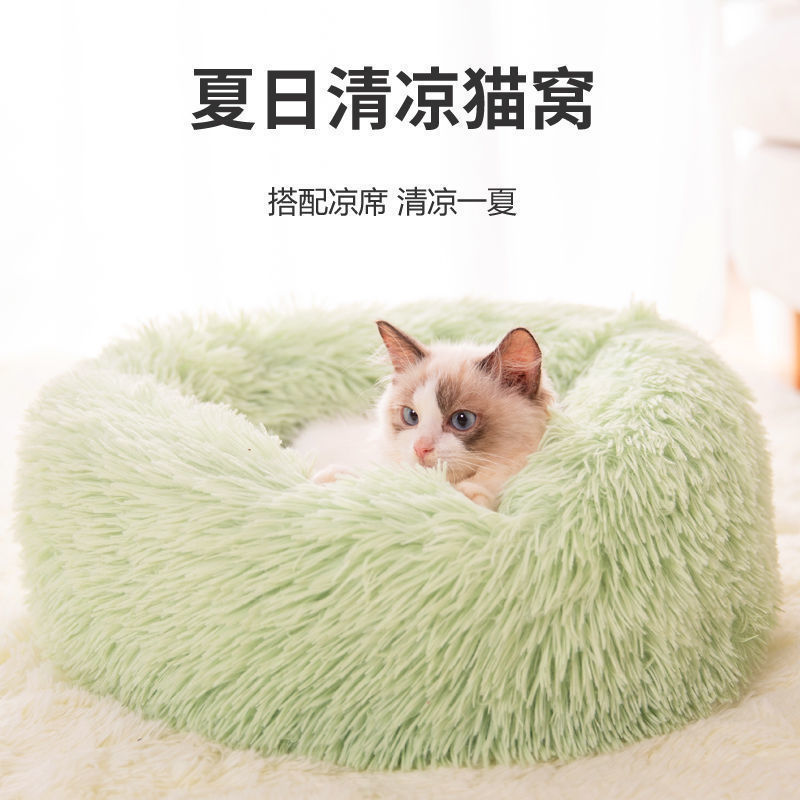 防猫刺垫白猫主人为了打架(图1)