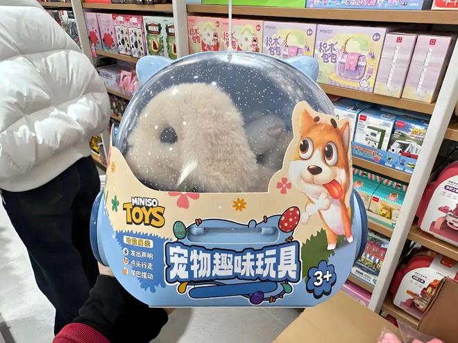 “宠物丁克”成了出生率下降后众商家争抢的新赛道(图4)