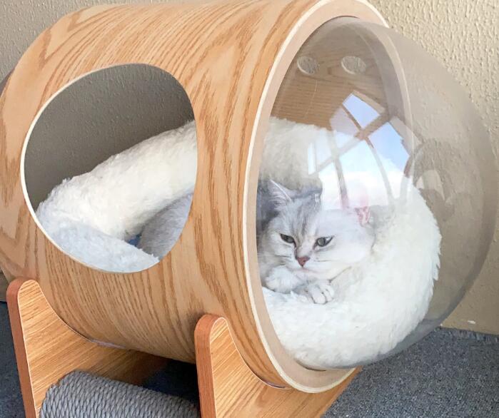 猫窝用什么材质好(图1)