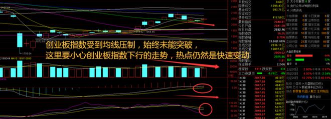 宠物花费超主人宠物经济迎来爆发式增长！A股还能玩吗？(图2)