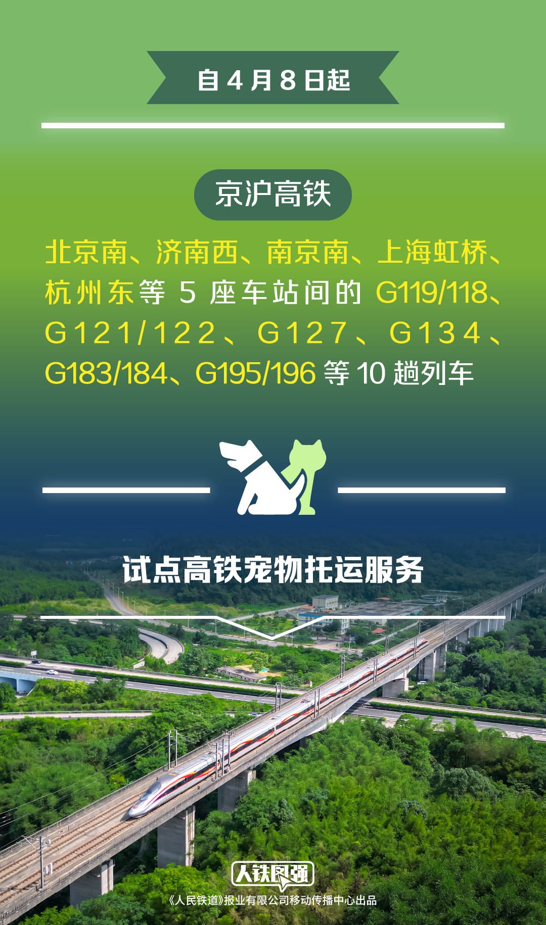 宠物猫狗可坐高铁了！铁路12306推出“宠物托运”功能(图2)