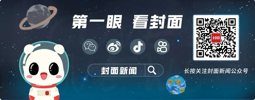 宠物殡葬师月入10万？真实情况是……(图4)