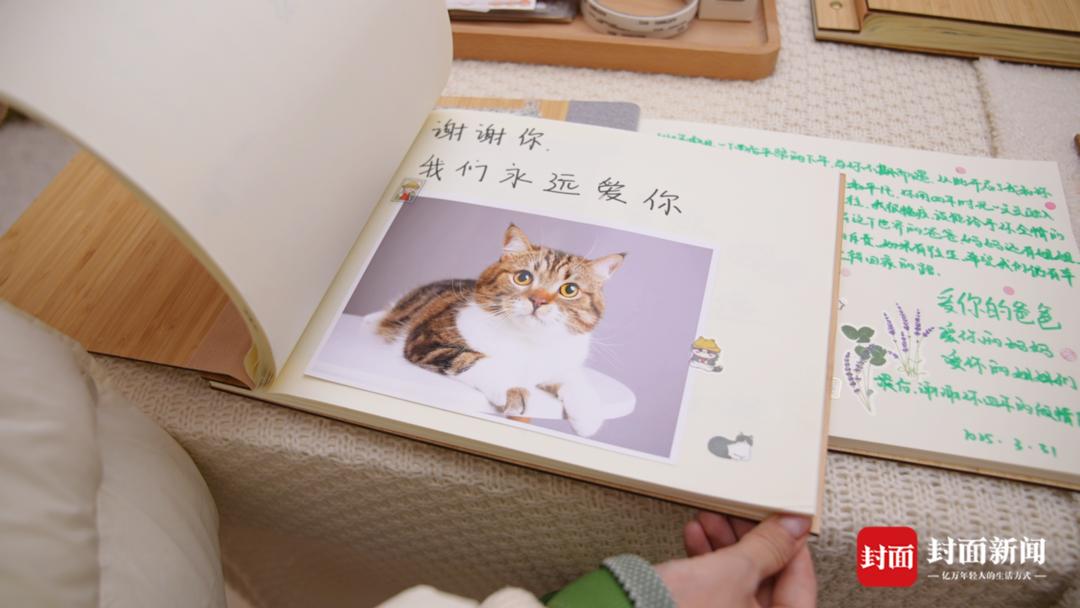 宠物殡葬师月入10万？真实情况是……(图2)