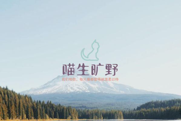 角落重生计划：〖喵生旷野〗让每寸空间都成为猫咪的乐园(图3)