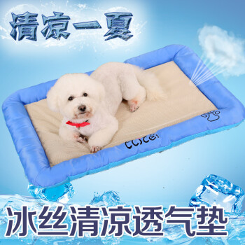 您的宠物正在办理值机(图1)