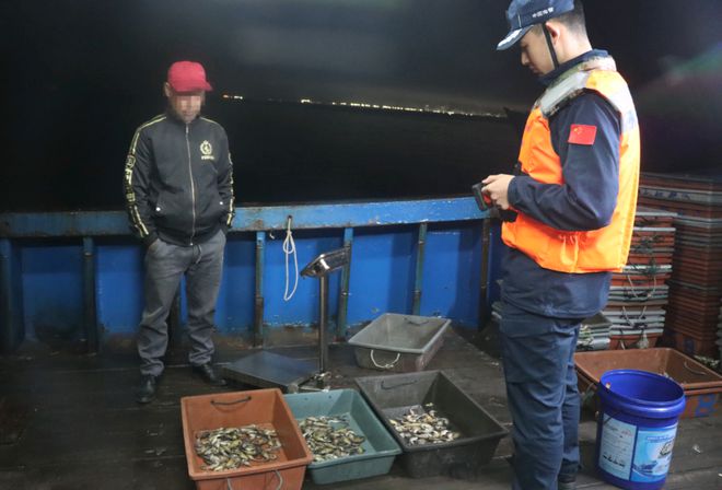 【海马】多人被强制措施！潮汕一地查获国家二级保护动物(图2)