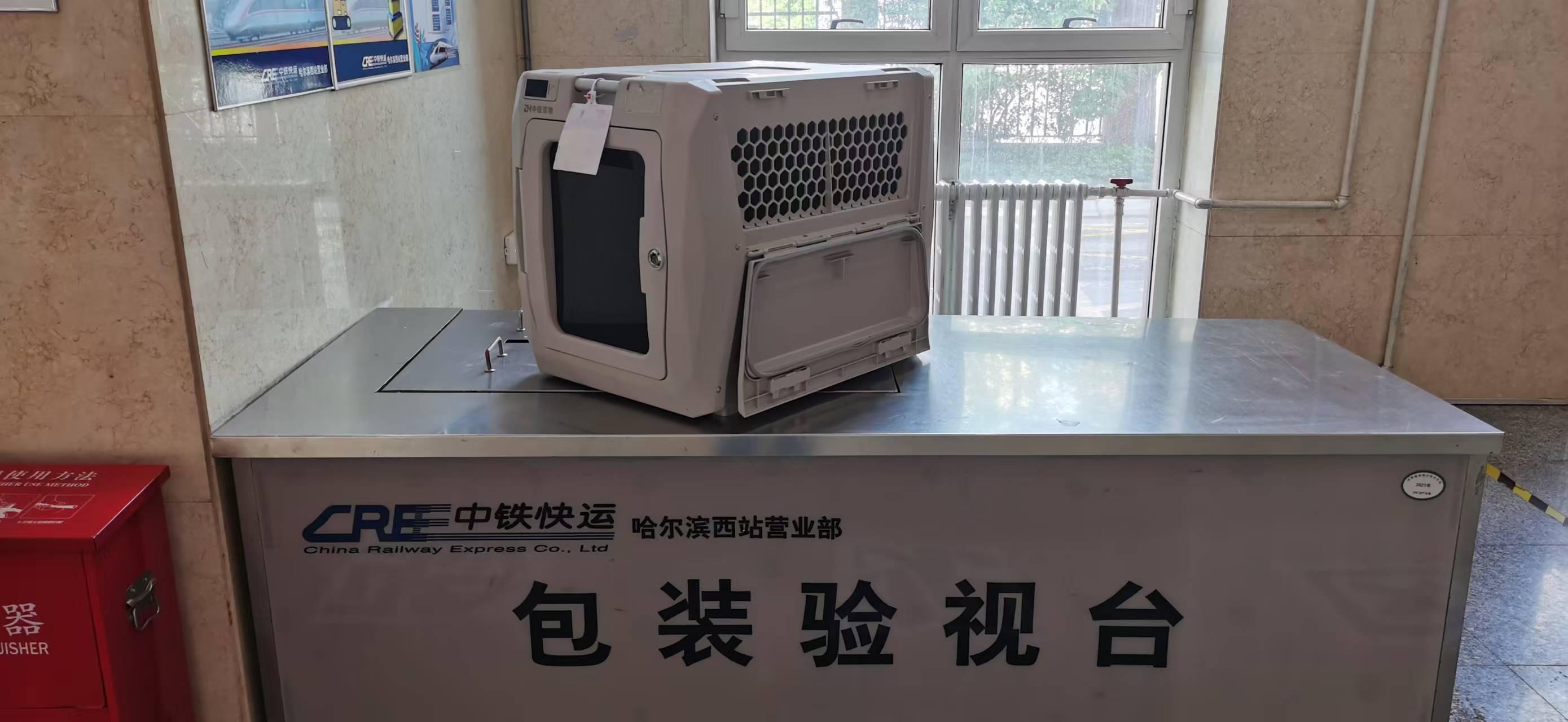 宠物也能坐高铁了！哈尔滨铁路推出“宠物托运”服务(图2)