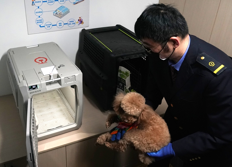铁路部门试点高铁宠物托运服务