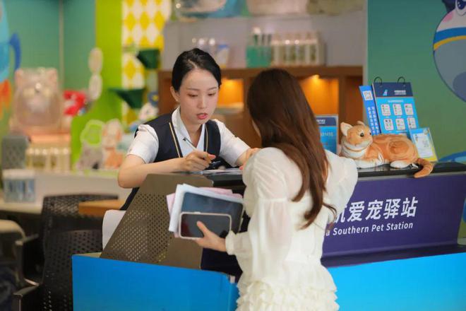 已覆盖国内数百条航线宠物进客舱需穿纸尿裤坐经济舱末排(图1)