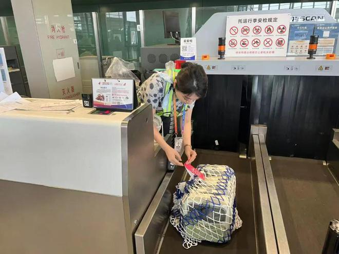 已覆盖国内数百条航线宠物进客舱需穿纸尿裤坐经济舱末排(图2)