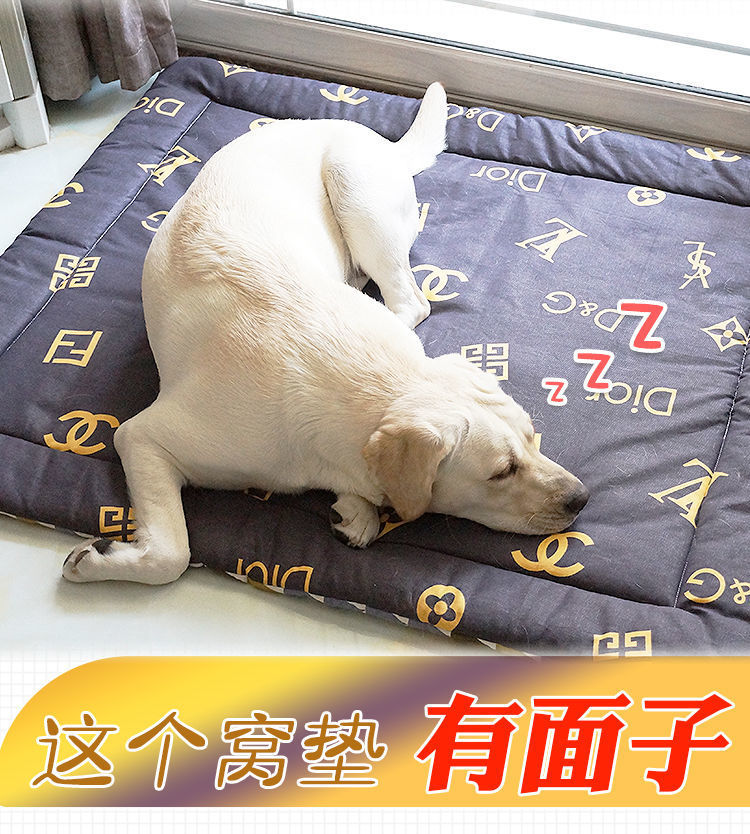 华元宠物×微盟：数字化重构人宠经济以“情感连接”领跑赛道(图1)