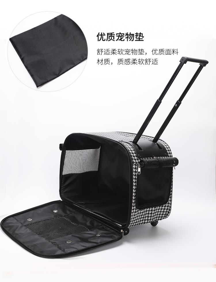 洪观热评：宠物“免费领养”套路暗藏玄机爱心不该成为商业陷阱的诱饵(图1)