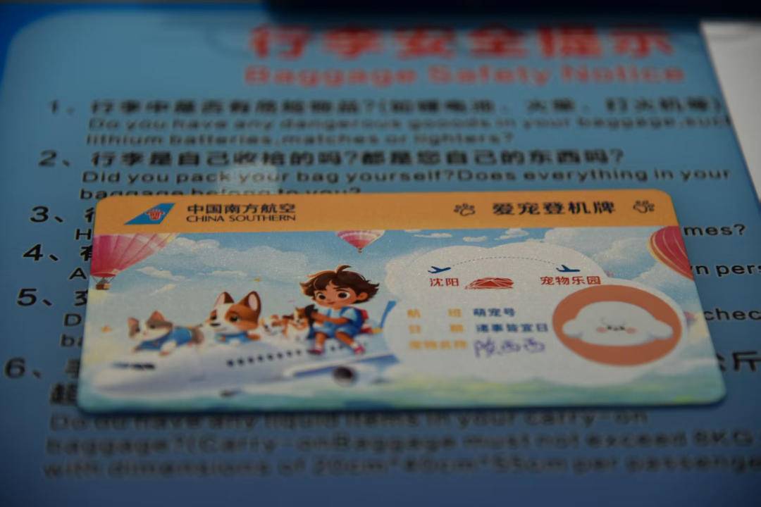 沈阳→深圳首位带宠进客舱旅客已现身！(图2)