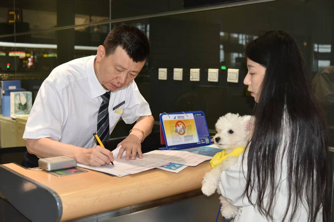 沈阳→深圳首位带宠进客舱旅客已现身！(图1)
