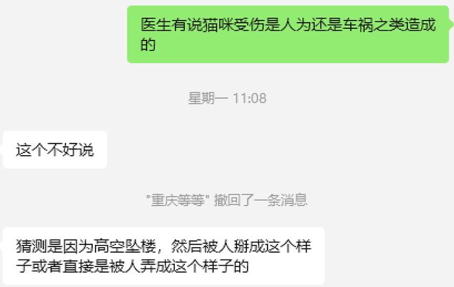 太造孽了！网上刷到一只奇形怪状的蓝猫结果真相是…(图5)