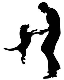宠物孩子 fur kid(图1)