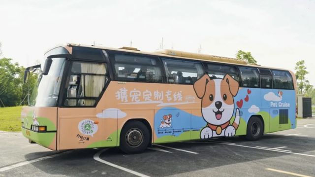 几近售罄上海首条！宠物专线元带着“毛孩子”看风景端午已有班次几乎售罄！(图5)