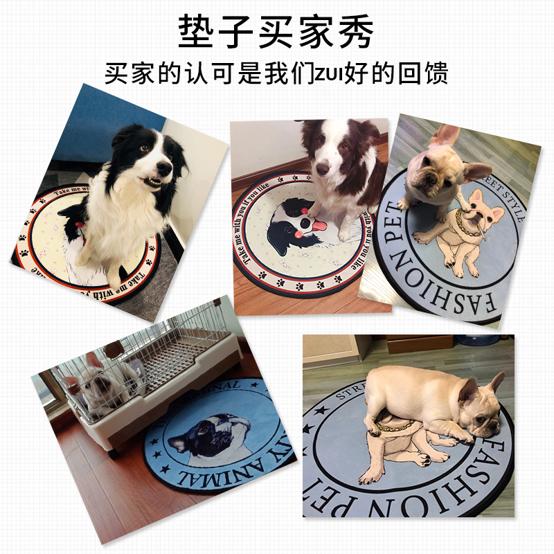 厦门：宠物消暑产品销量大增(图1)