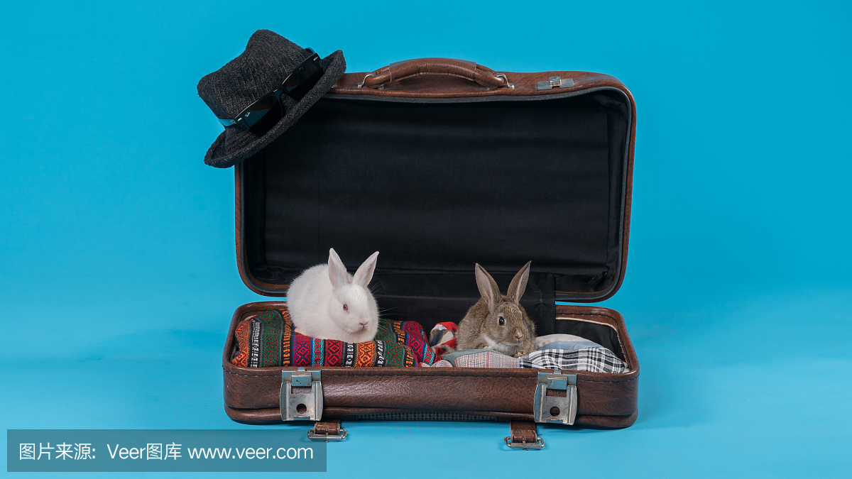 【新盘】包河区新华星耀玥湖售楼处官方发布：主城顶豪改善标杆启幕(图1)