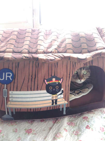 2026年2月上班族必备宠物智能玩具十大品牌榜单(图1)