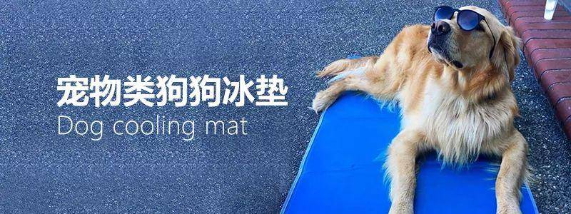 宠物类狗狗冰垫亚马逊美国市场调研报告(图1)