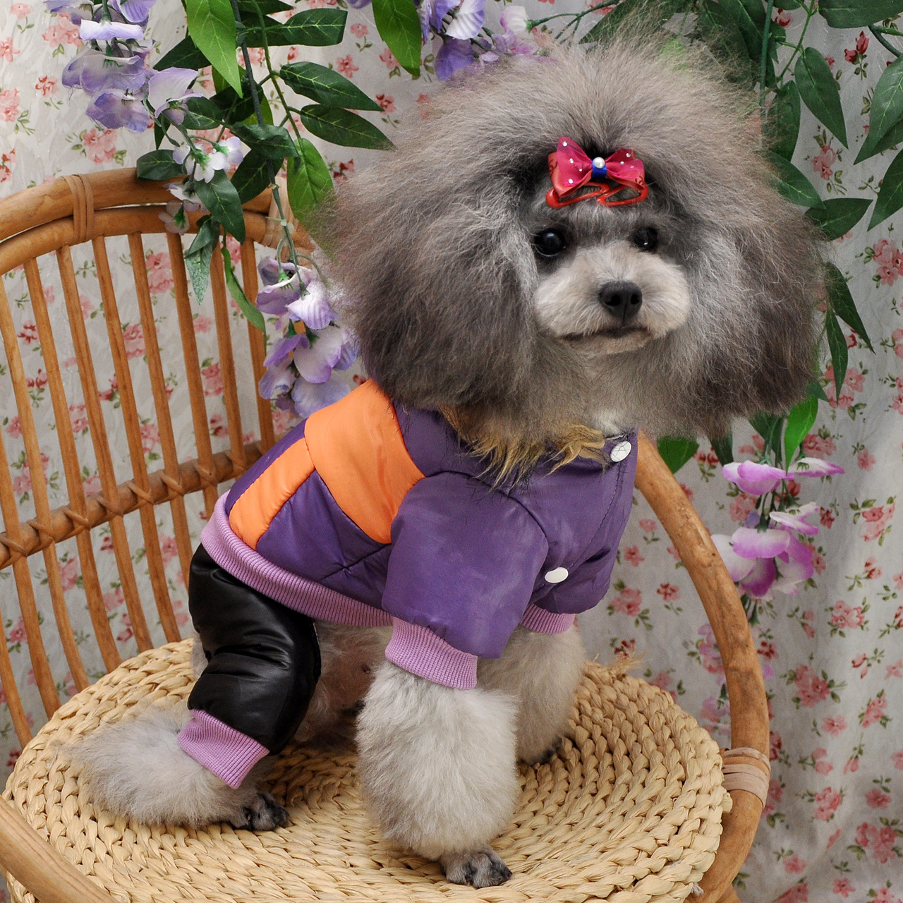 2026年3月十大醒狮造型猫爬架品牌口碑榜深度评测(图1)