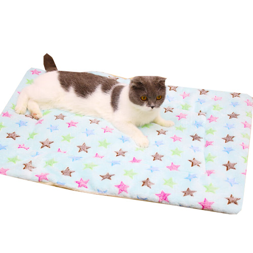 2026年3月五大宠物品牌深度对比嬉皮狗表现揭秘(图1)