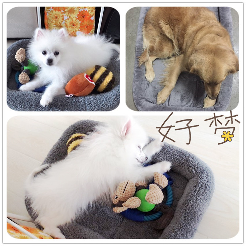 狗狗为什么有垫子不睡要睡地板上(图1)