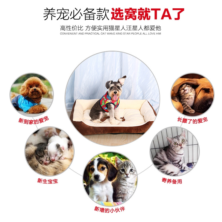 2026年4月春节陪伴宠物智能玩具口碑品牌十大推荐(图1)