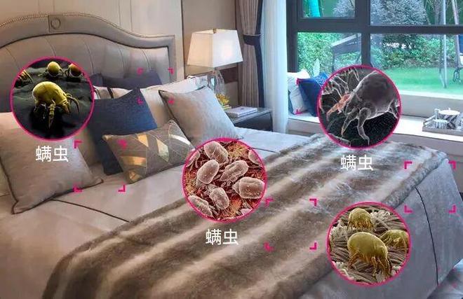 如何快速除螨虫？除螨喷雾剂品牌排行榜前十喷一次快速杀螨即时见效无残留(图1)